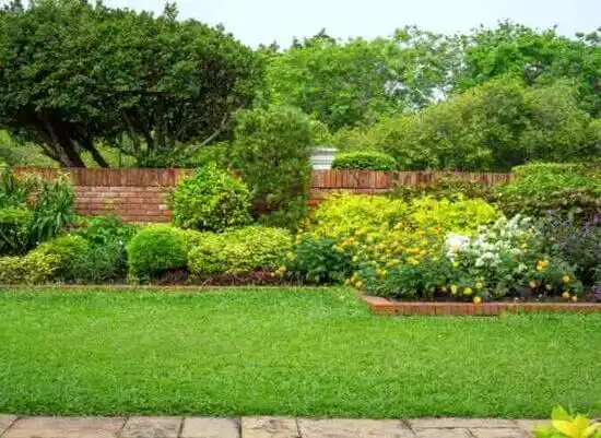 landscaping services Wintersville